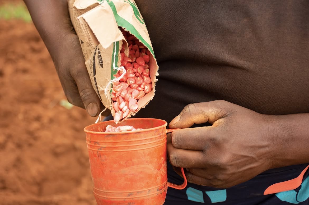 Where Mechanization Meets Community